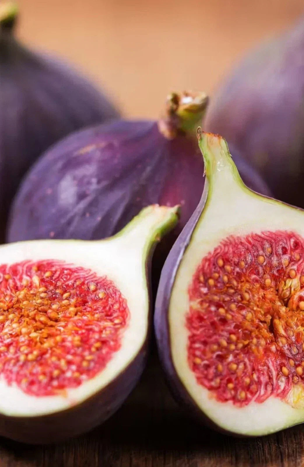 Fresh Fig Tree Cuttings - 10 Inch Unrooted Ficus carica Propagation Material for Gardening