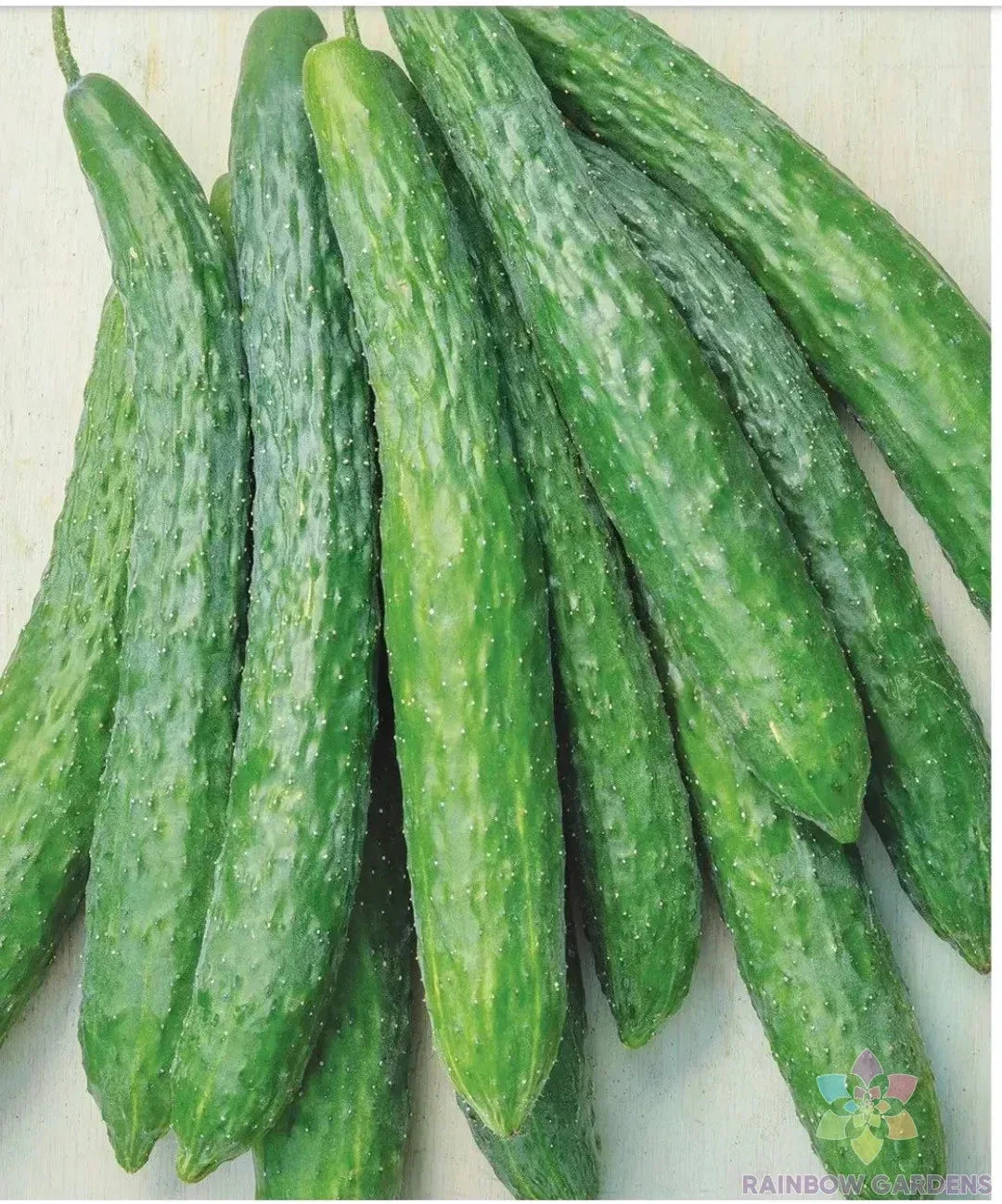 25+ Dragon Suhyo Cross Cucumber Seeds | Organic Cucumis sativus for Home Gardens