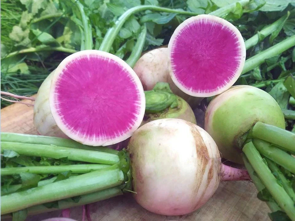Watermelon Radish Seeds - Non-GMO Chinese Heirloom Raphanus sativus Organic Vegetable Seeds for Gardening