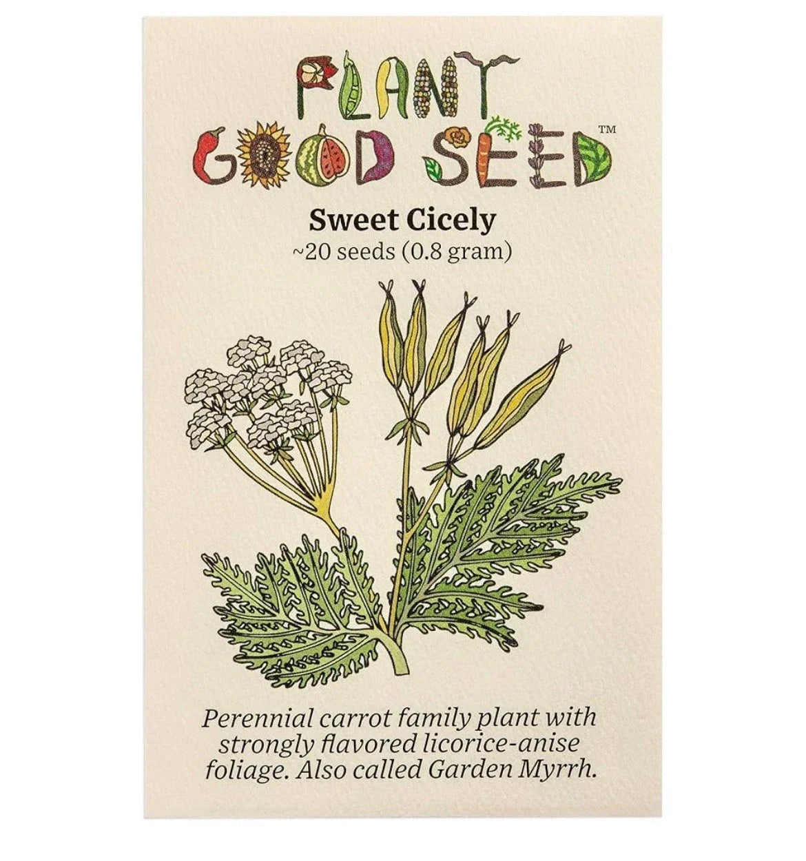 Sweet Cicely Seeds - Herb Seeds 20 Pack - Myrrhis odorata - Aromatic Culinary Herb - Organic USA Grown