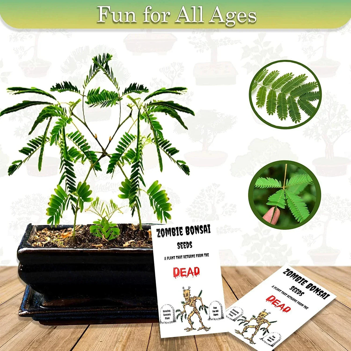 Zombie Bonsai Seed Packets (2 Pack) | Sensory Touch-Reacting Indoor Bonsai Plants