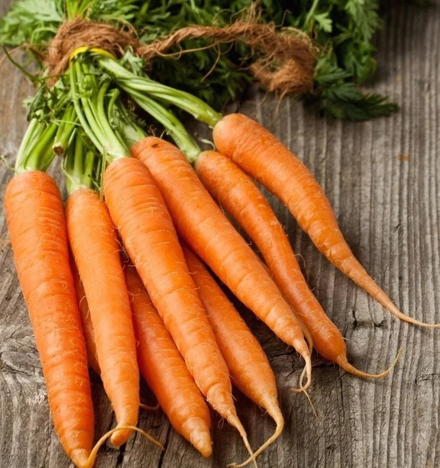 Tendersweet Carrot Seeds - Organic Non-GMO Heirloom Daucus carota, 200+ Seeds for Home Garden, Raised Beds, Containers
