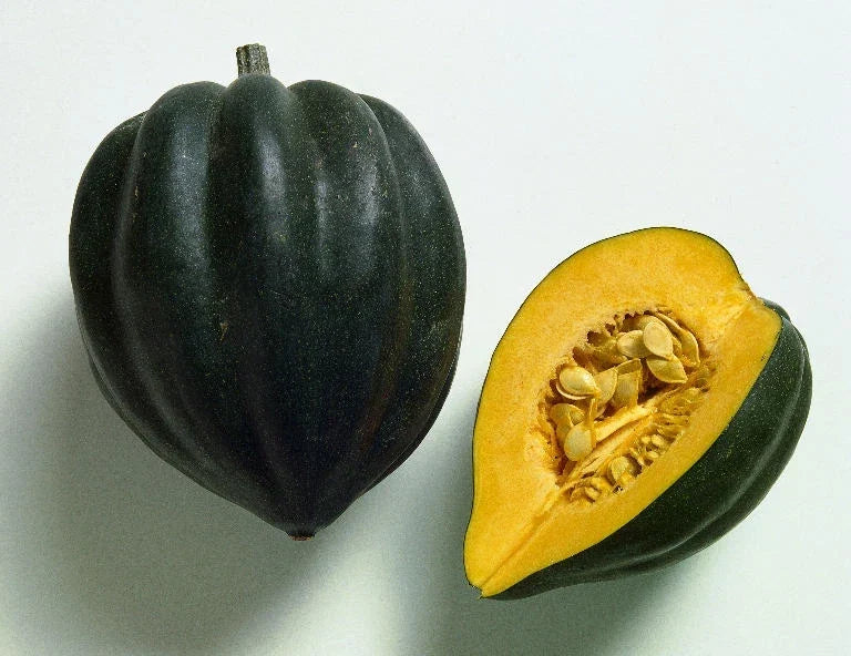 Acorn Squash Seeds - Table Queen Variety - Non-GMO Cucurbita pepo, Bush Plant, Full Sun, 20 Seeds
