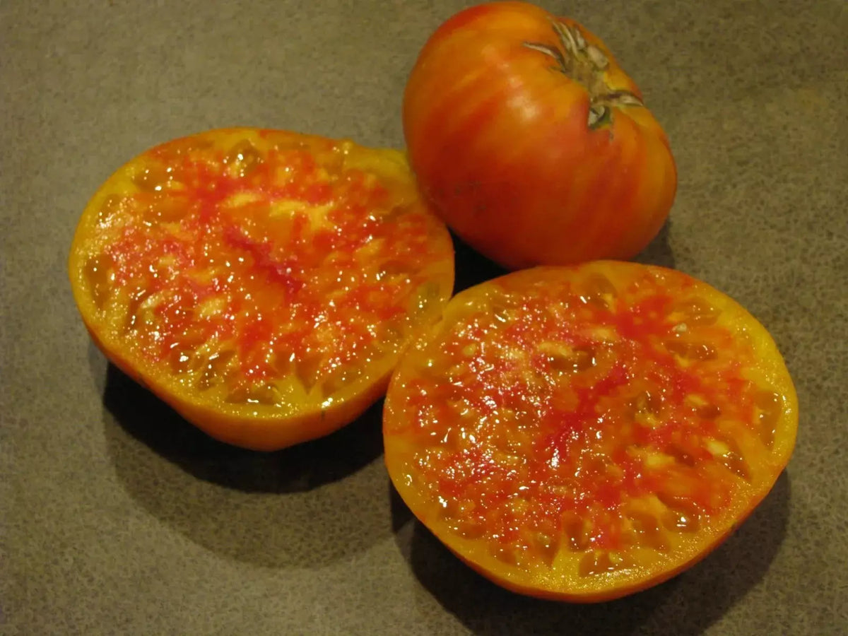 Organic Heirloom Hillbilly Tomato Seeds - Solanum lycopersicum, Non-GMO, 30+ Fresh Seeds for Home Gardening
