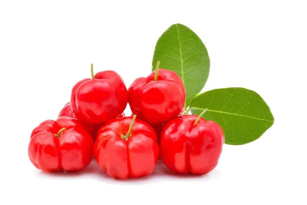 Acerola Cherry Seeds - 10+ Pack Malpighia emarginata - USA Fast Shipping