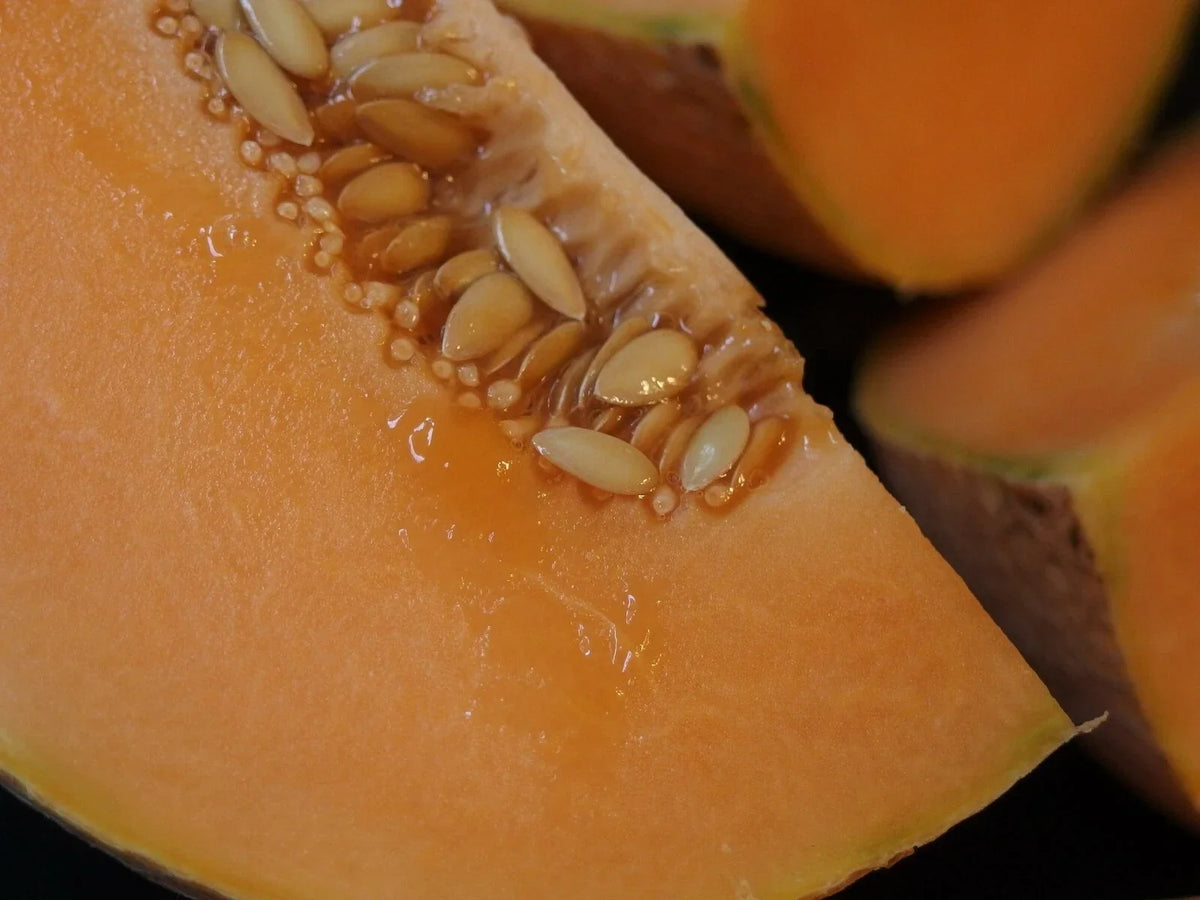 Organic Midget Melon Cantaloupe Seeds 300+ | Fast Growing, Sweet Flavor | Cucumis melo | Compact Vine, Container Friendly