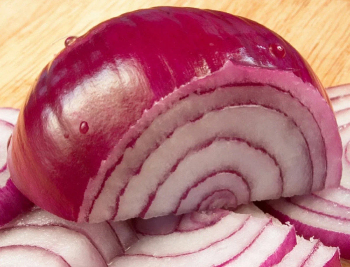 Organic Red Burgundy Sweet Onion Seeds - Short Day Variety for Spring & Fall Garden