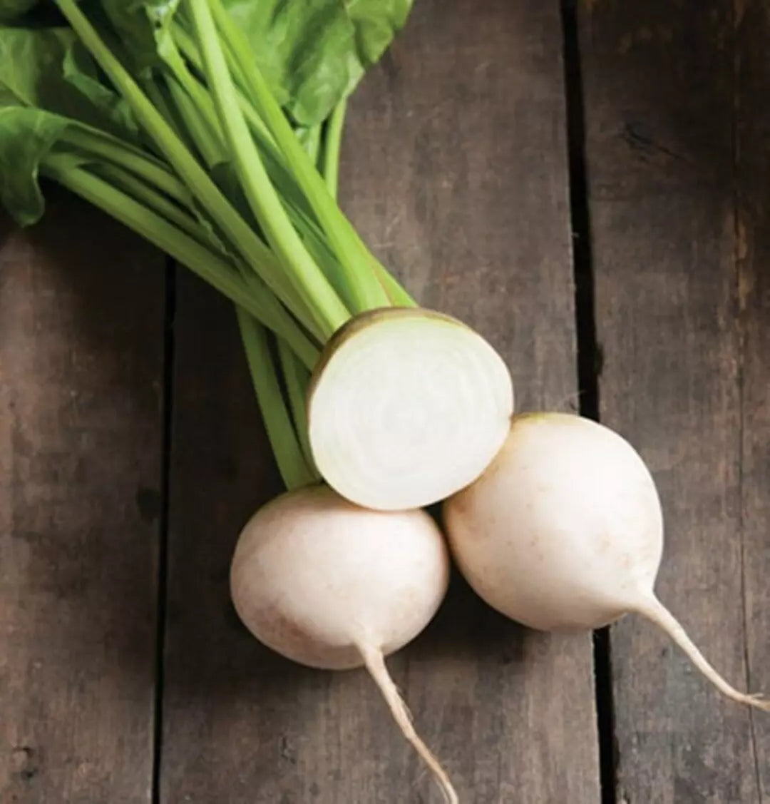 White Albino Beet Seeds - Organic Non-GMO Heirloom Beta vulgaris for Gardening, 500+ Seeds, Fresh Vegetable Seeds