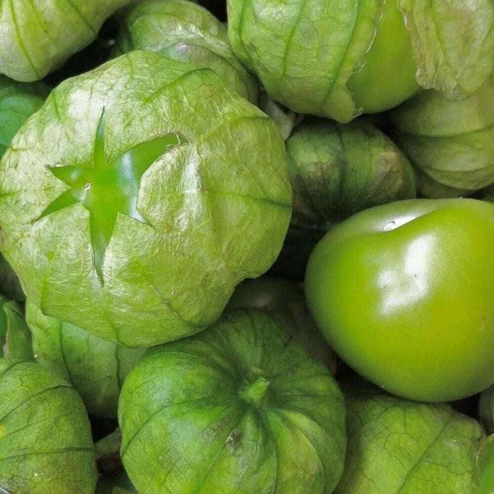 Tomatillo Seeds 50 Ct Heirloom Non-GMO Grande Rio Verde Physalis ixocarpa for Salsas & Cooking
