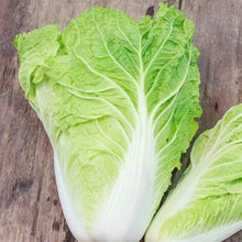 1000 Non-GMO Heirloom Michihili Cabbage Seeds - Organic Vegetable Seeds for Home Gardening - Brassica rapa