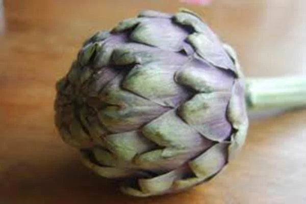 Heirloom Green Globe Artichoke Seeds - 500 Non-GMO Cynara scolymus for Home Gardening & Container Growing