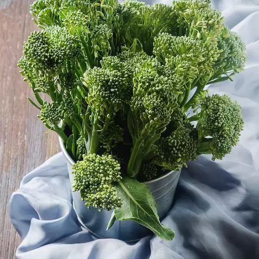 Broccoli Seeds Pack of 1000 Non-GMO Heirloom Waltham 29 Vegetable Seeds for Home Gardening