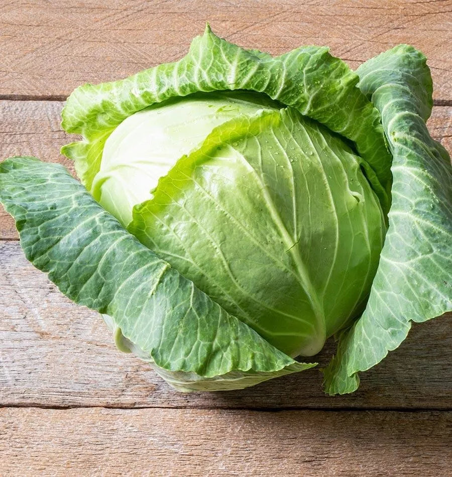 Cabbage Seeds - 600+ Heirloom Copenhagen Market - Non-GMO - Fresh Vegetable Seeds