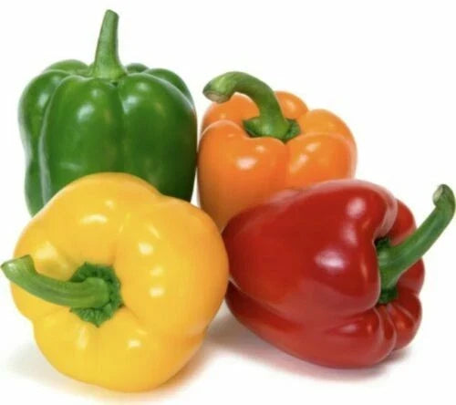 Rainbow Bell Pepper Seeds Mix - 15+ Varieties, Heirloom, Organic, Capsicum annuum, Vegetable Seeds for Home Garden
