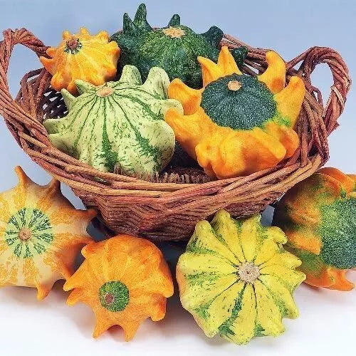 Crown of Thorns Gourd Seeds - 10 Seeds - Exotic Finger-Shaped Squash Cucurbita ficifolia