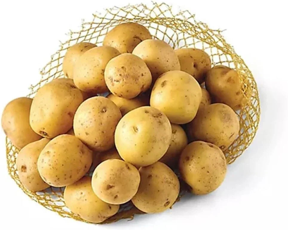 Vista Gold Mini Seed Potatoes for Planting - Yellow Skin Variety - Solanum tuberosum