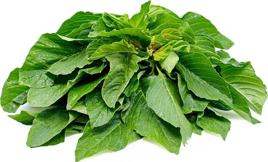 Amaranth Seeds Pack of 100 – Chinese Spinach Edible Green Vegetable – Amaranthus viridis Seeds for Gardening and Nutrition