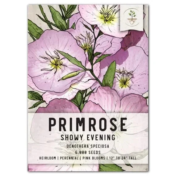 Showy Evening Primrose Seeds – Oenothera speciosa, Wildflower, Perennial, Drought-Tolerant, Native Garden Seed
