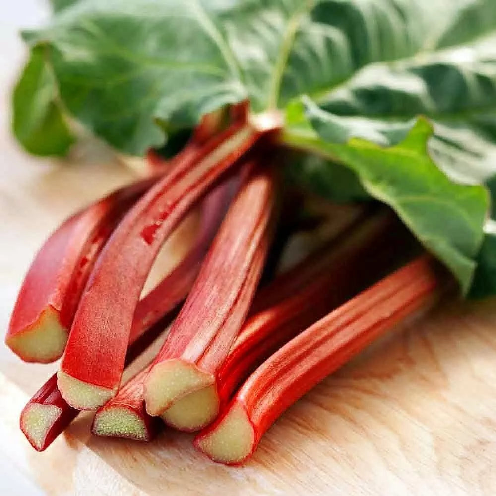 Victoria Red Rhubarb Seeds - 50 Perennial Rheum rhabarbarum Seeds for Easy Growing