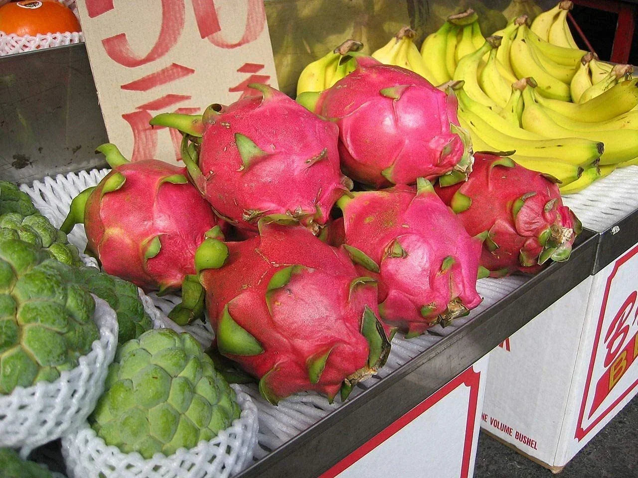 Dragon Fruit Seeds 100+ Pitaya Hylocereus Undatus Strawberry Pear