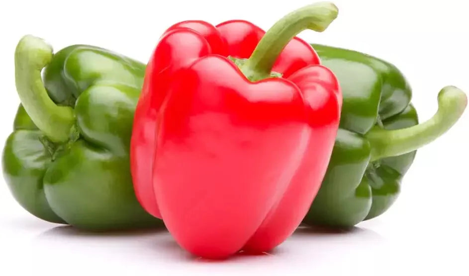 30 Ozark Giant Sweet Pepper Seeds - Capsicum annuum - Large Sweet Bell Peppers