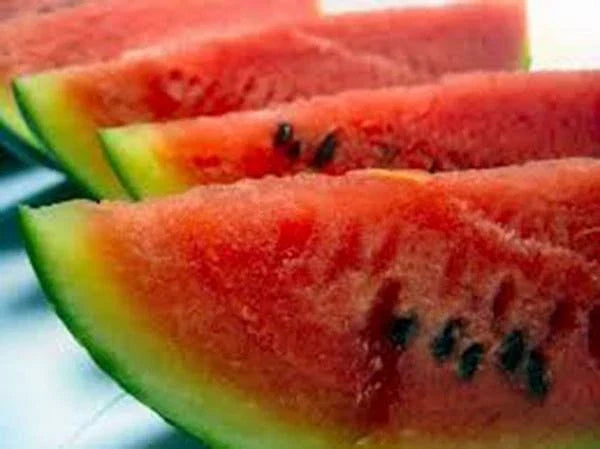 Watermelon Seeds 500 Count Charleston Grey Heirloom Citrullus lanatus for Home Garden, Organic, Non-GMO, Summer Fruit Plant