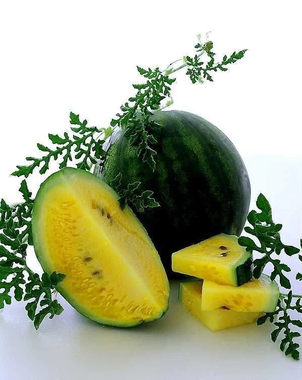 Golden Honey Watermelon Seeds - Non-GMO Heirloom Citrullus lanatus, Pack of 10+ for Home Garden, Juicy, Sweet, Summer Fruit