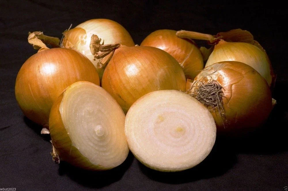 Spanish Onion Seeds - Allium cepa, Yellow & White Variety, Fresh Planting Seeds for Home Garden, Reliable Germination