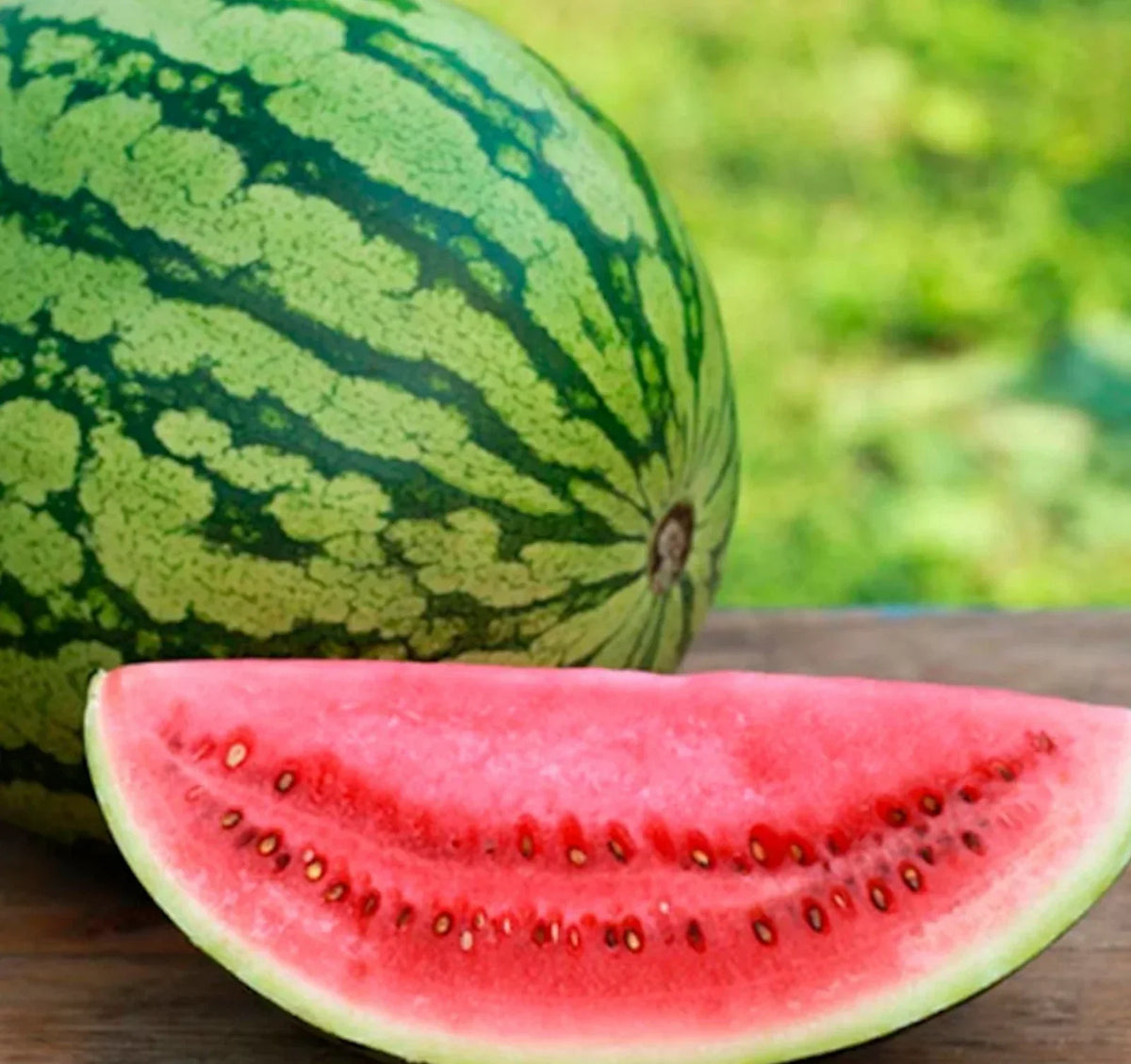 Crimson SWEET Watermelon Seeds Pack of 25+ | High Yield, Juicy, Sweet Citrullus lanatus