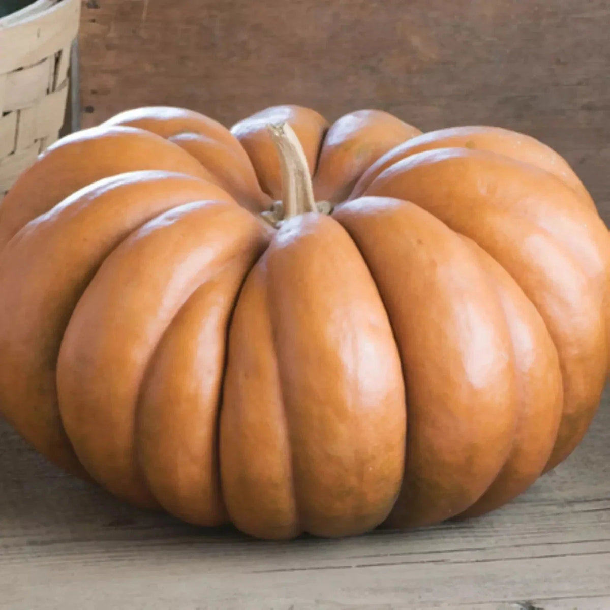 Fairytale Pumpkin Seeds - Organic Heirloom French Cucurbita pepo for Cooking & Decoration, Non-GMO, 30 Seeds