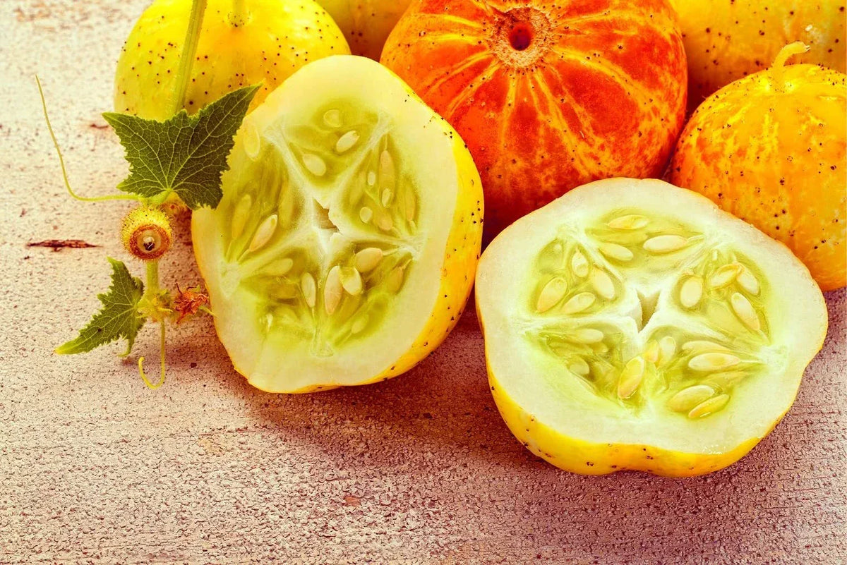 Lemon Cucumber Seeds - 100+ Heirloom Cucumis sativus Seeds for Garden