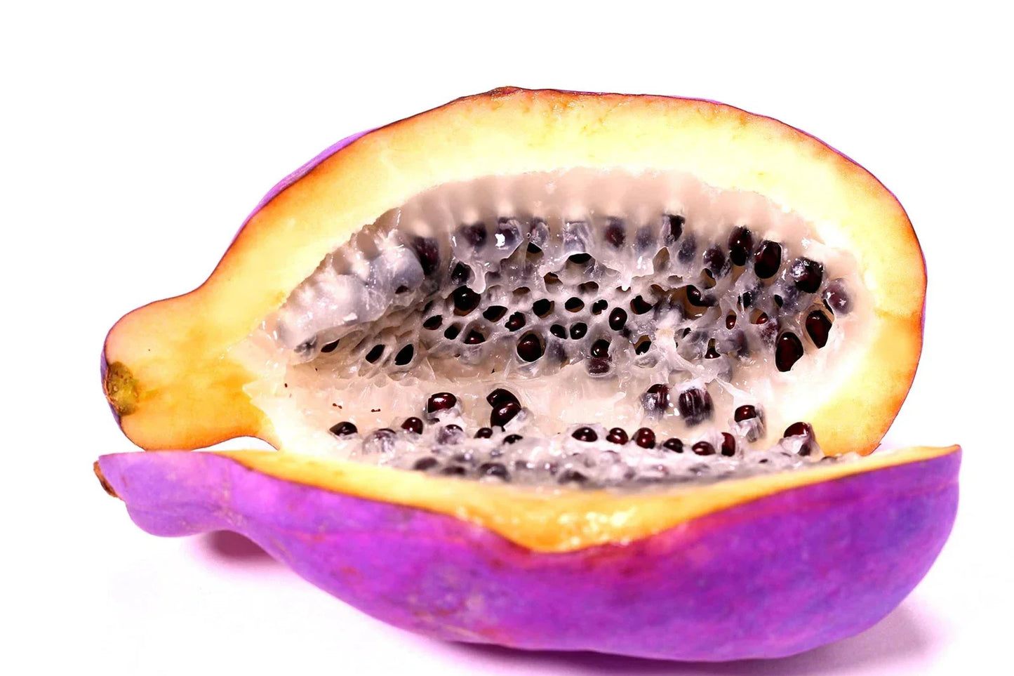 Exotic Chocolate Vine Seeds - 15 Pack Akebia quinata Five Leaf Vine