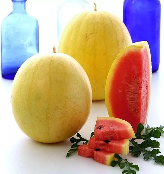 Golden Midget Watermelon Seeds - Heirloom, Organic, Non-GMO, Mini Fruit, Citrullus lanatus