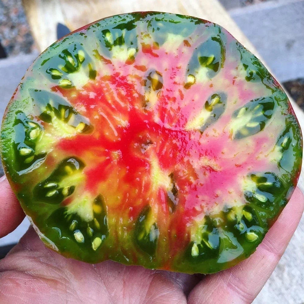 Ananas Noire Tomato Seeds - Organic Heirloom Black Pineapple Variety, Non-GMO, 120+ Seeds for Garden, Container & Gourmet Cooking
