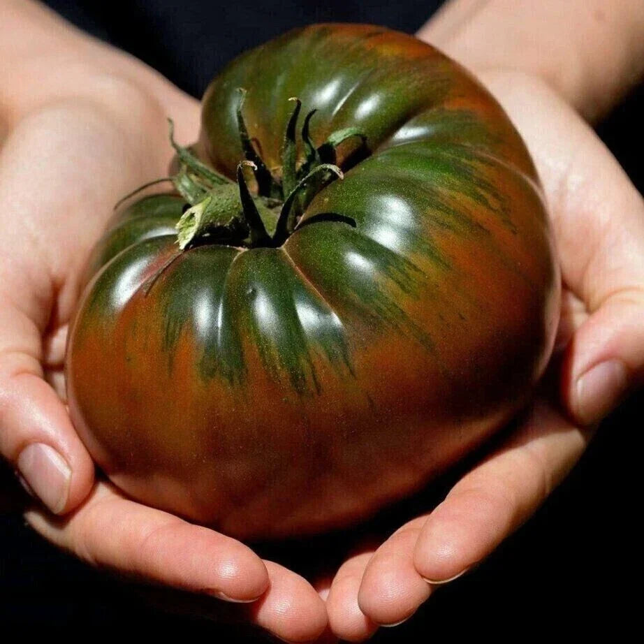 Russian Black Krim Tomato Seeds - Organic Heirloom, Non-GMO, Full Sun, Solanum lycopersicum, Home Garden, Canning, Salad