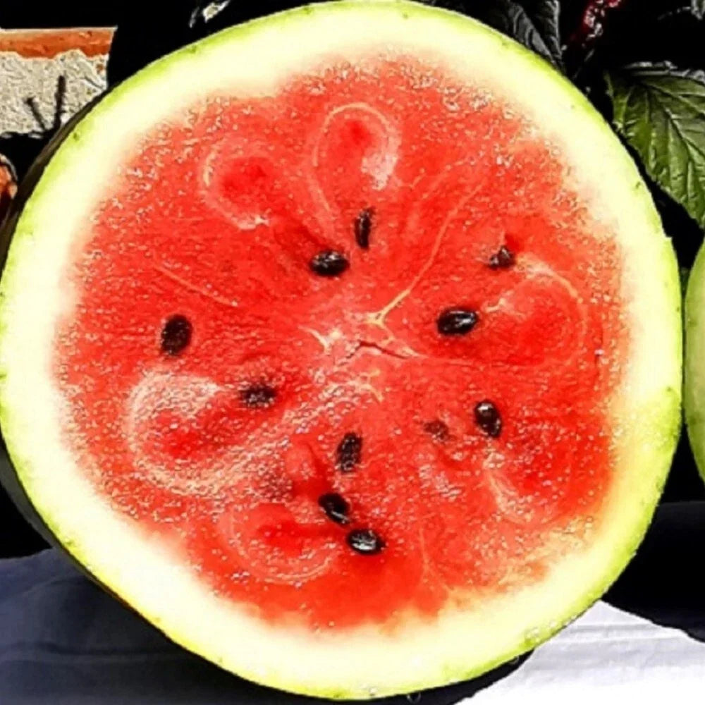 Moon and Star Watermelon Seeds | Heirloom NON-GMO Citrullus lanatus Seeds | Unique Colorful Fruit for Home Gardens