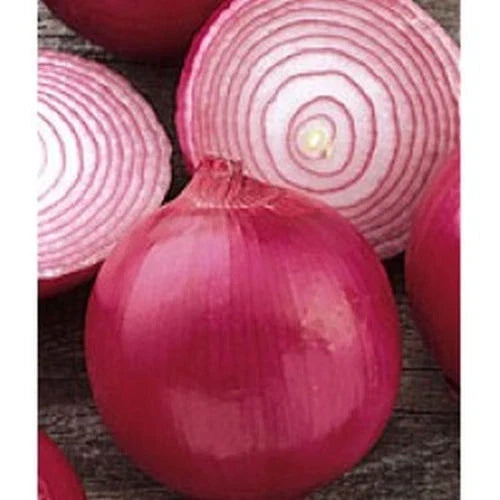 Red Grano Onion Seeds - 310 Count, Allium cepa, Early Sweet Variety, Bulb-Forming, Full Sun, Non-GMO, for Home & Garden