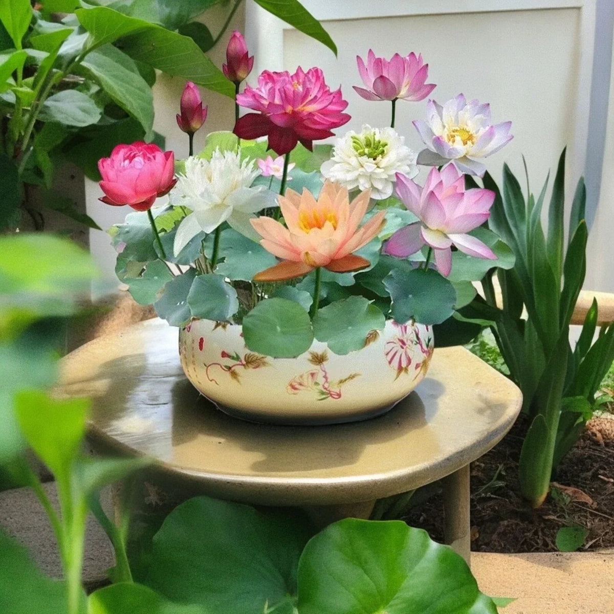 Mixed Color Bowl Lotus Seeds - 10pcs Premium Bonsai Set for Water Plants