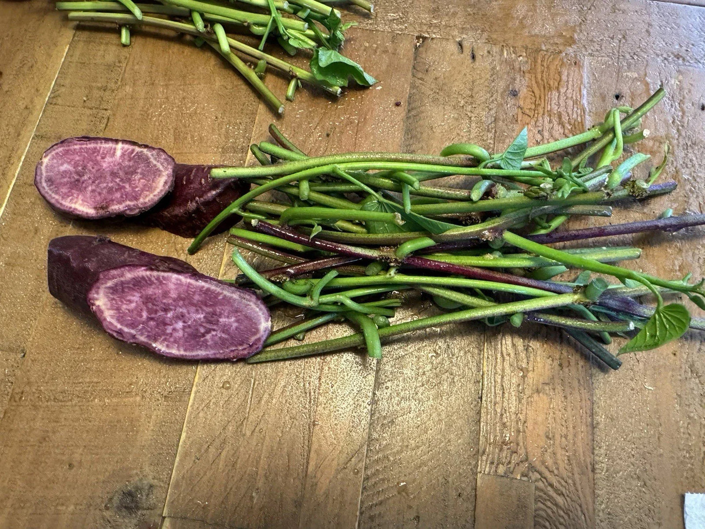 Japanese Molokai Sweet Purple Potato Slip Cuttings - 35 Pack, Ipomoea batatas, Organic, Vining, Purple Flesh, Live Plant