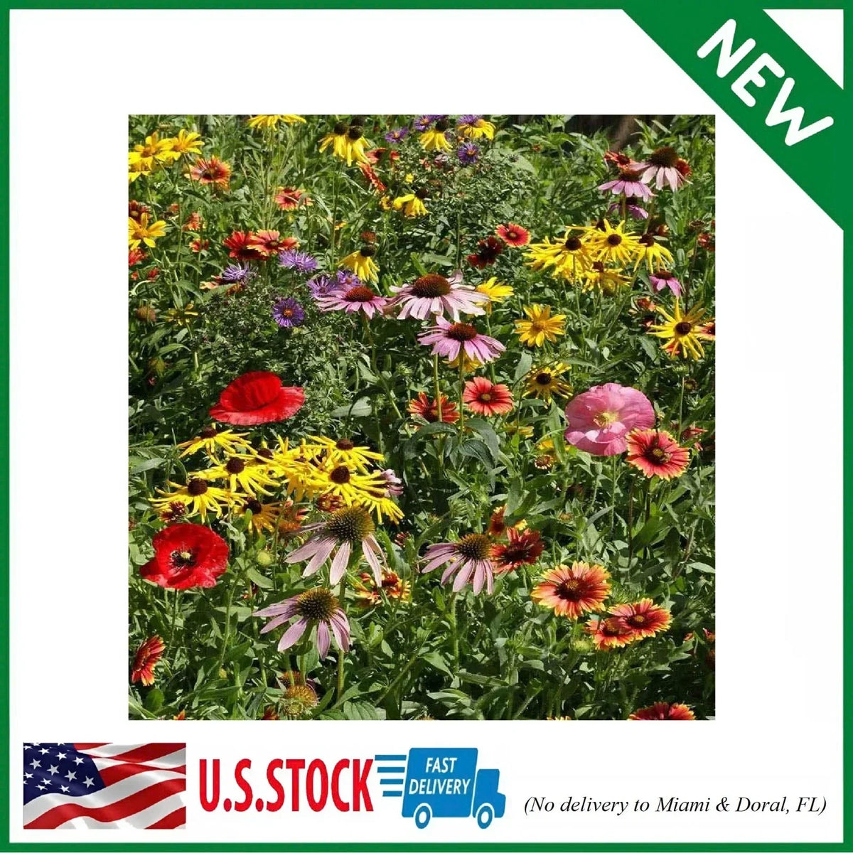 Wildflower Seed Mix 1 lb Native Annual & Perennial Flowers Midwest Eco-Friendly Garden Seed