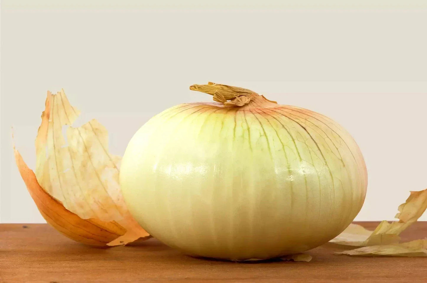 Treated Vidalia Sweet Onion Seeds - 250 Non-GMO Heirloom Allium cepa Seeds