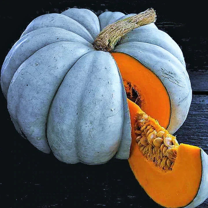 Jarrahdale Blue Pumpkin Seeds - 30+ Count - Winter Squash Cucurbita maxima