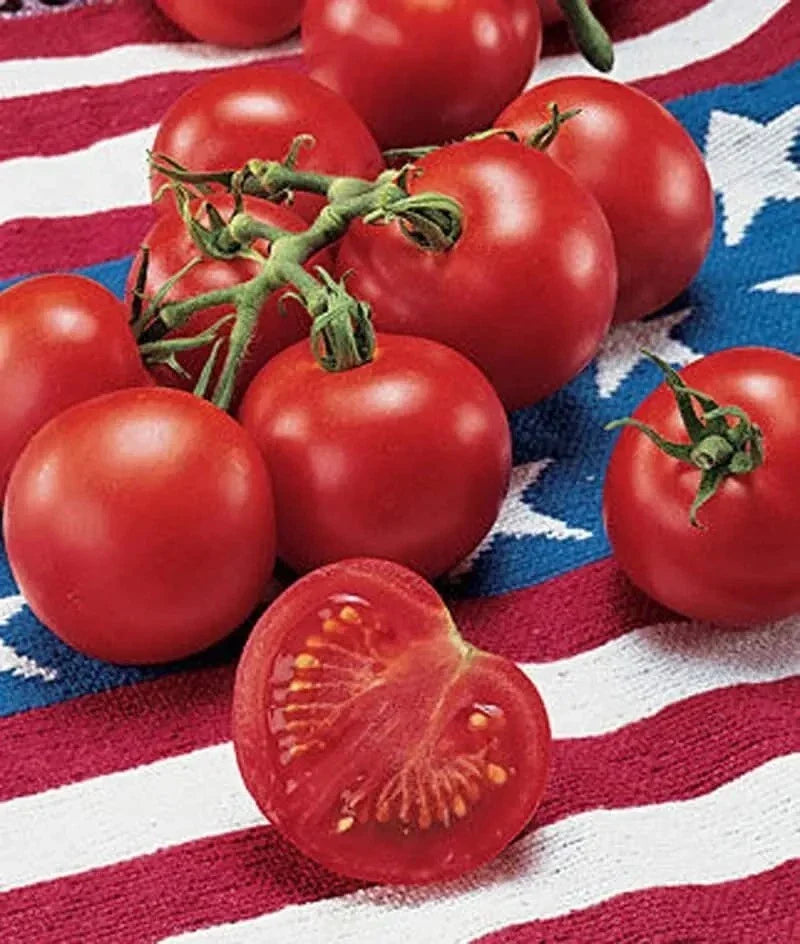 120+ Heirloom Tomato Seeds - Fastest Ripening 42 Days Solanum lycopersicum, Indeterminate, Non-GMO, for Home Garden & Containers