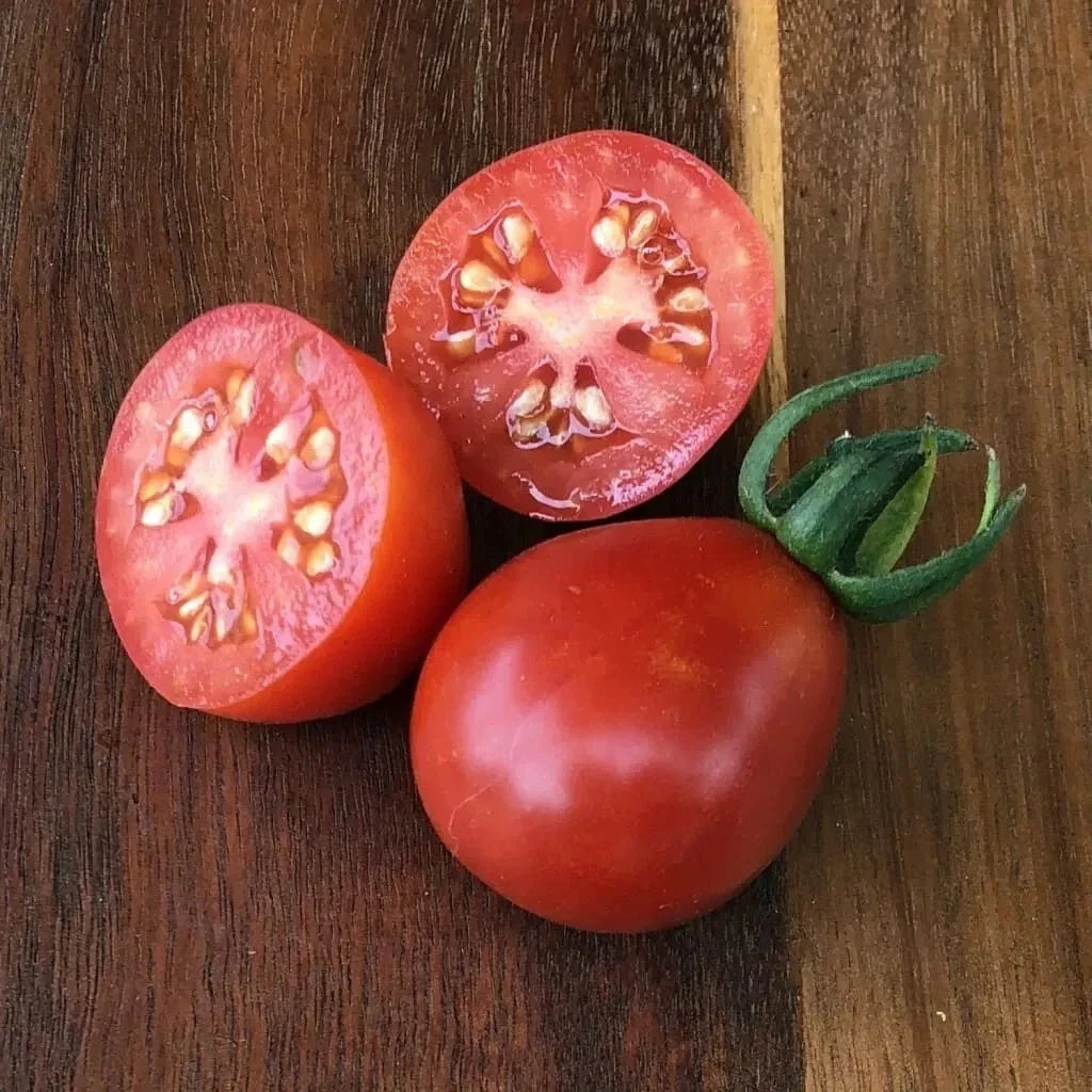 Napoli Tomato Seeds, Organic Heirloom, Non-GMO, Solanum lycopersicum, Juicy, Large, Bountiful Harvest, For Sauces & Salads