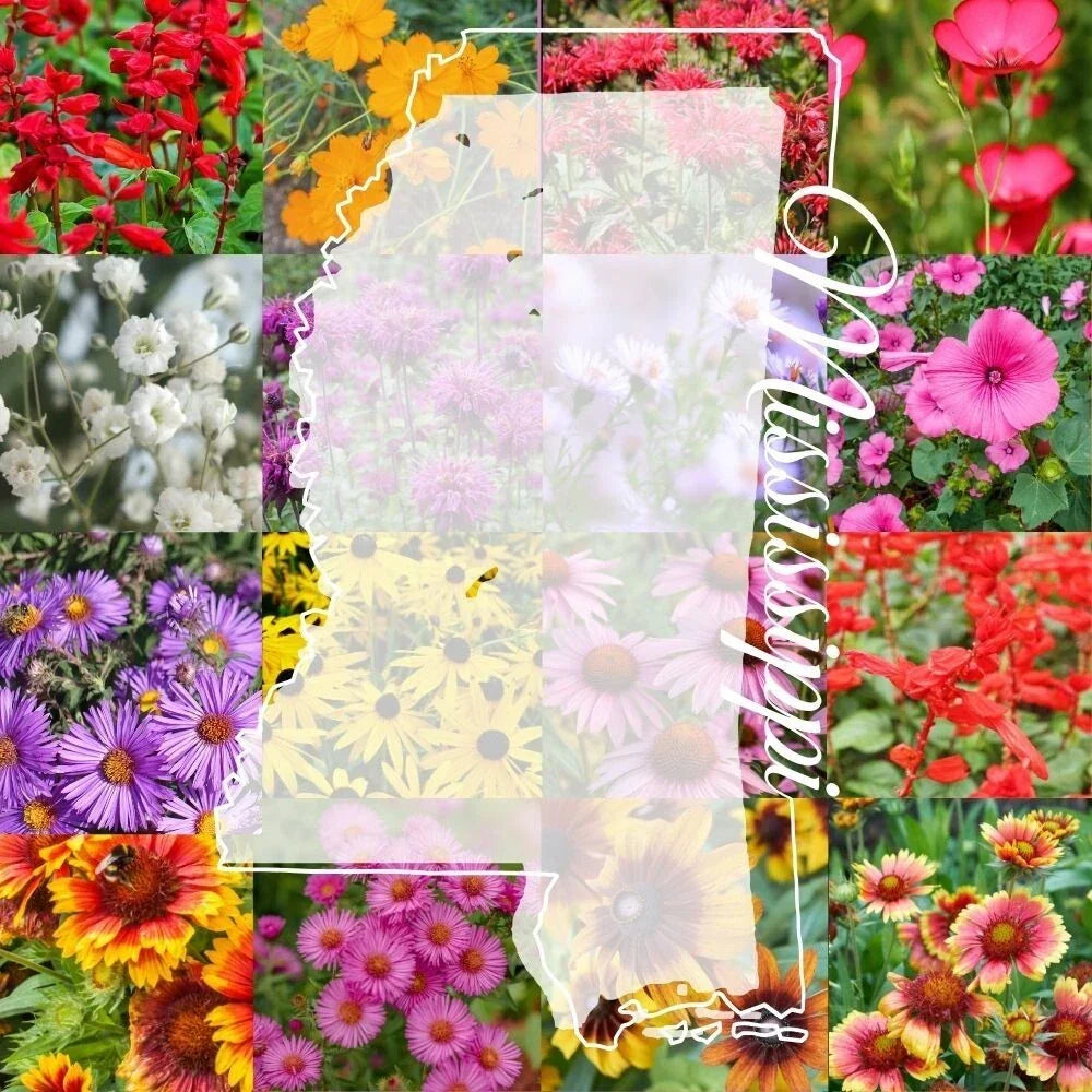 Mississippi Wildflower Seed Mix 1lb - Native Pollinator Wildflower Seeds for Garden, Meadow & Landscaping