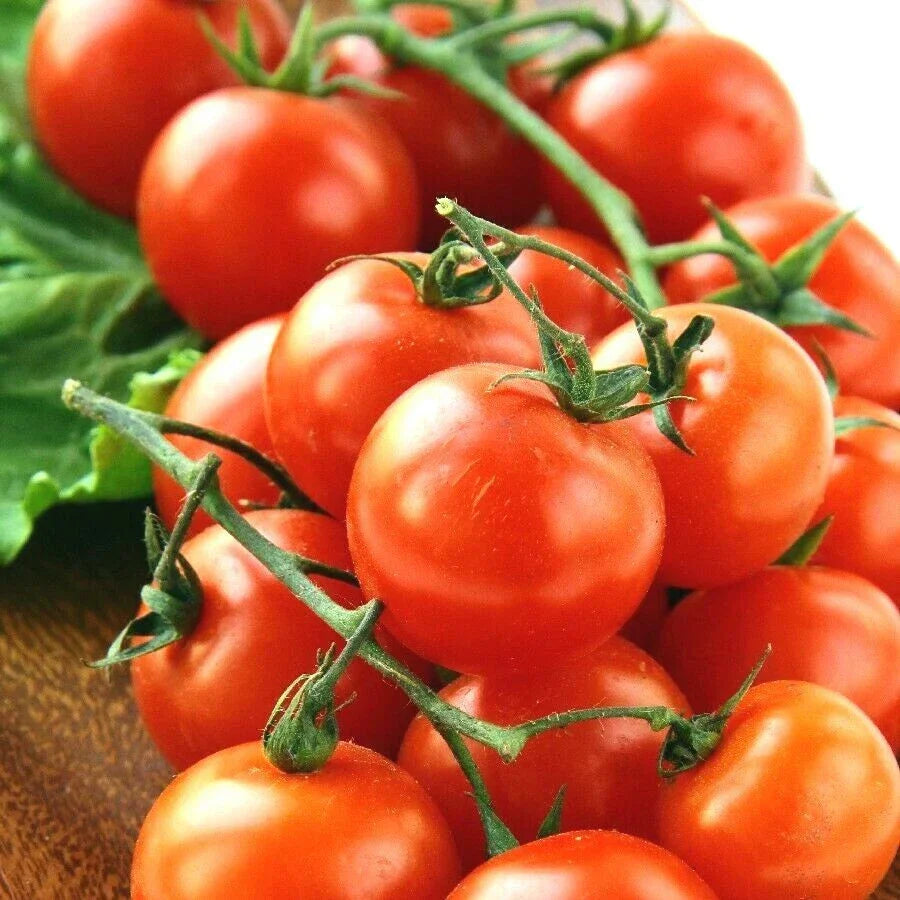 Organic Heirloom Cherry Tomato Seeds - 101+ Pack for Container Gardening