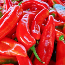 Red Marconi Sweet Pepper Seeds 50+ Non-GMO Vegetable Garden Seeds, Capsicum annuum, USA, Free Shipping