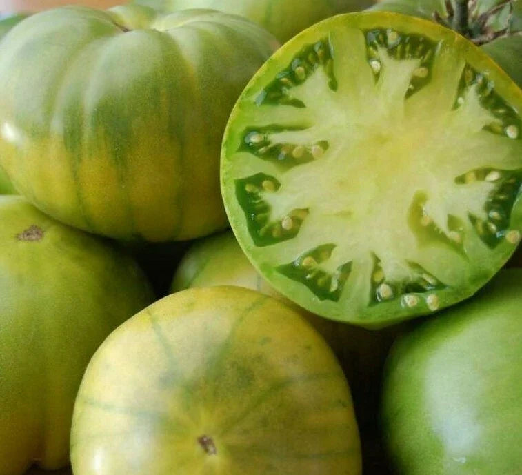 Aunt Ruby's Green German Tomato Seeds – Heirloom Lycopersicon esculentum, 50+ Seeds for Salad & Garden Vegetables