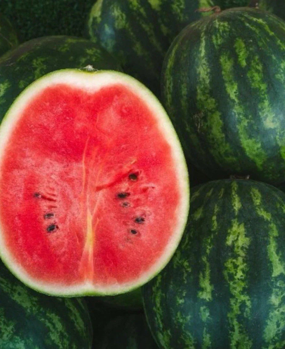 Florida Giant Watermelon Seeds - Non-GMO, 100 Seeds, Citrullus lanatus