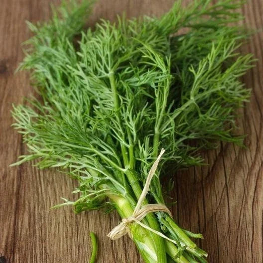 Dill Seeds Bouquet Non-GMO Heirloom Culinary Herb Seeds Anethum graveolens, Fragrant, Easy to Grow, Full Sun, 100 Seeds